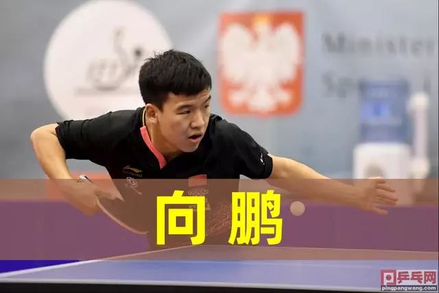 育界不断前 育界不断前