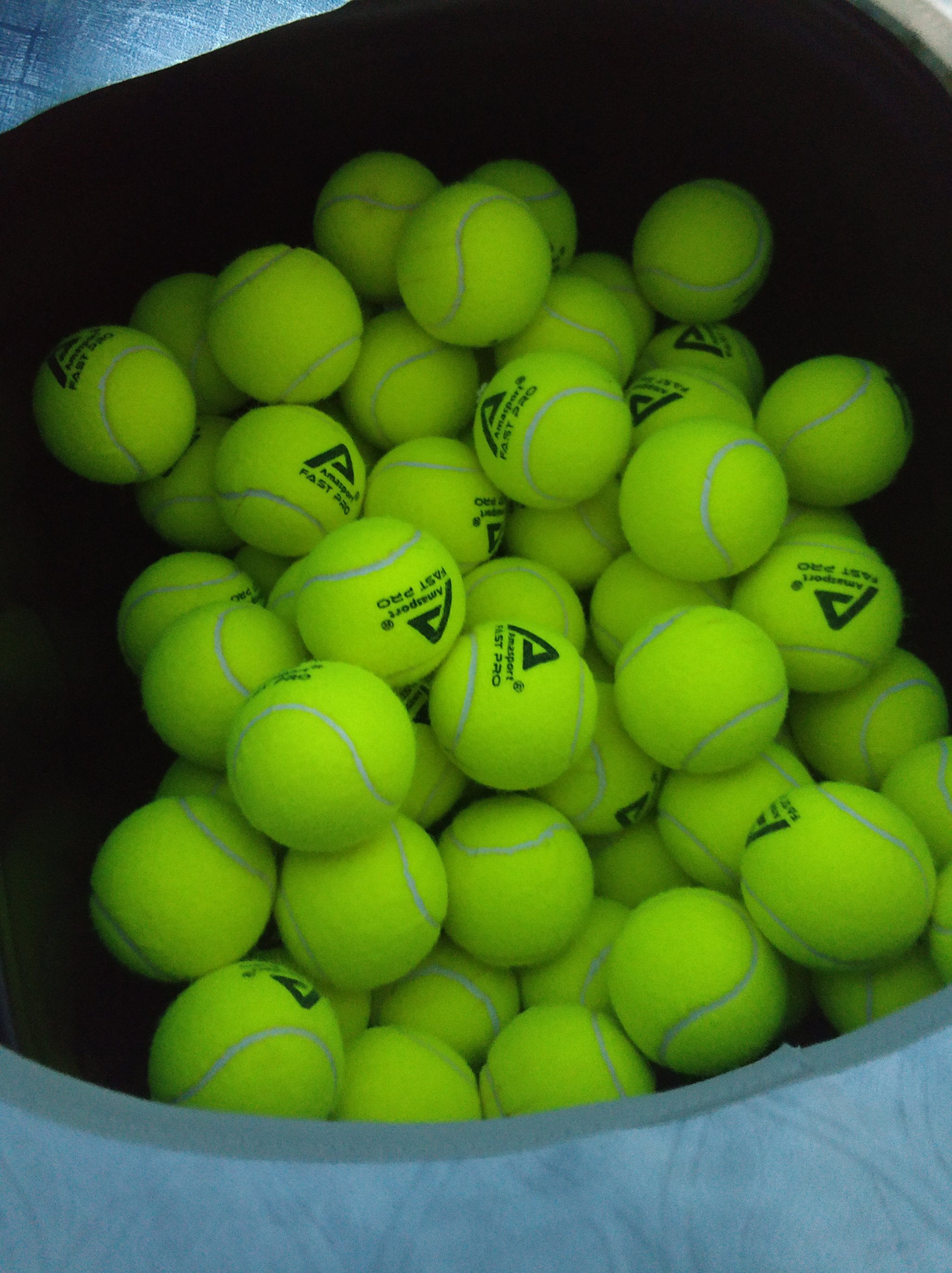 港队士气高 港队士气高