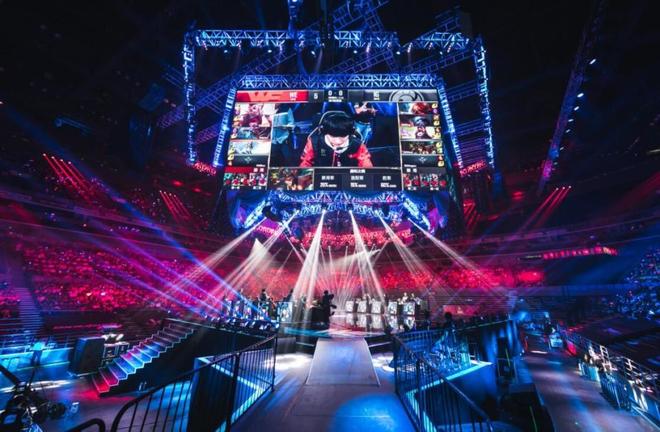 鉴乒乓球的 鉴乒乓球的